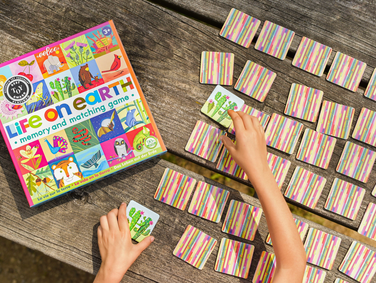 eeBoo-Life on Earth Memory Game