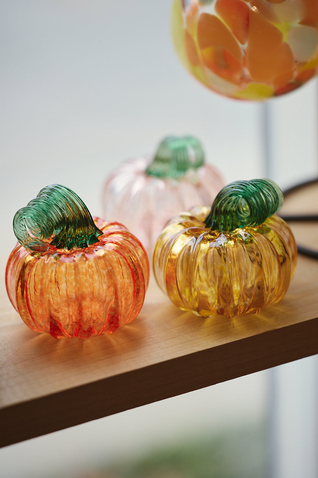 Fall in Full Color