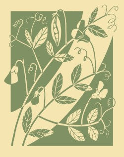 Cady-Toward the Sun(C)