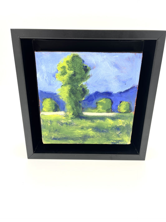 Dave Hayward-Big Tree(C)