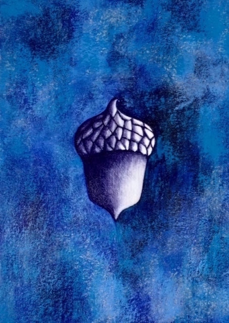 Blue Acorn (C)
