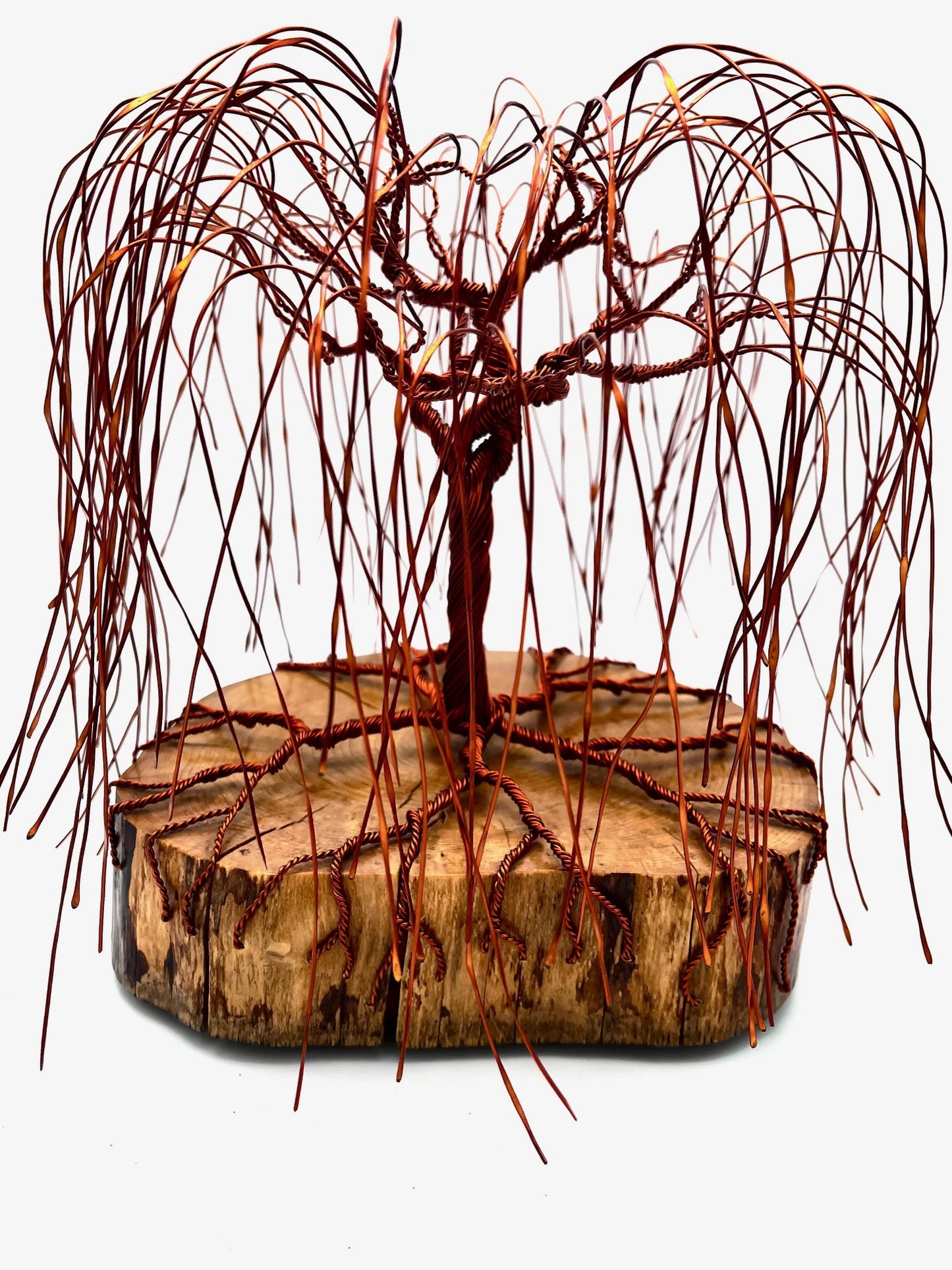 A Matisse "Copper Willow" (C)