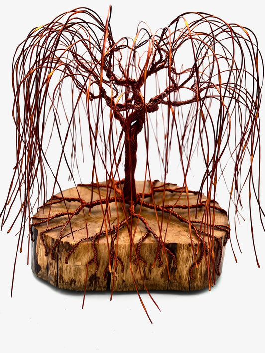 A Matisse "Copper Willow" (C)