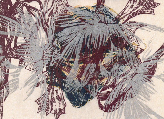 Nemeth - Collecting Series #1 (C)